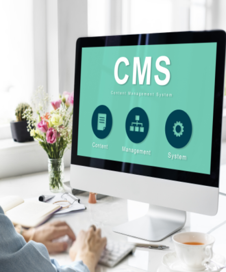 CMS Website Development